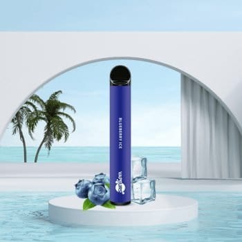 VAPEURS Blaubeere E-Zigarette ohne Nikotin online kaufen Vape online shop nikotinfrei Blaubeere einweg e-shisha to go