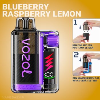 Vozol Vista Plug - Blueberry Ice Starter Kit