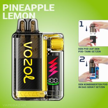 Vozol Vista Plug - Blueberry Ice Starter Kit