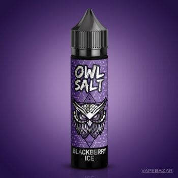 OWL Salt Longfill Blackberry Ice 60 ml Flasche