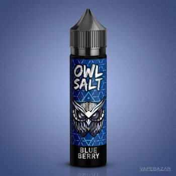 OWL Salt Longfill Blueberry 60 ml Flasche