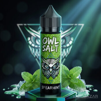 OWL Salt Longfill Spearmint Aroma 10ml in 60ml