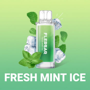 Flerbar Pods - Fresh Mint Ice – Prefilled Liquid Pod – 2er Pack