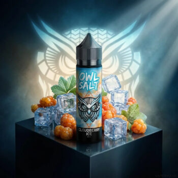 OWL Salt Cloudberry Ice | Vapebazar Owl Salt Longfill Cloudberry Ice – Aroma 10 Ml In 60-Ml-Flasche